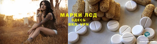 сатива Алзамай