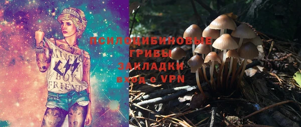 сатива Алзамай