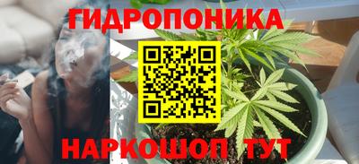 индика Пугачёв