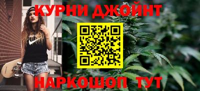 индика Пугачёв