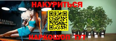 индика Пугачёв
