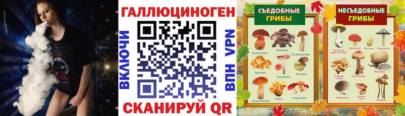 Псилоцибиновые грибы Psilocybe  где продают наркотики  Ростов-на-Дону 