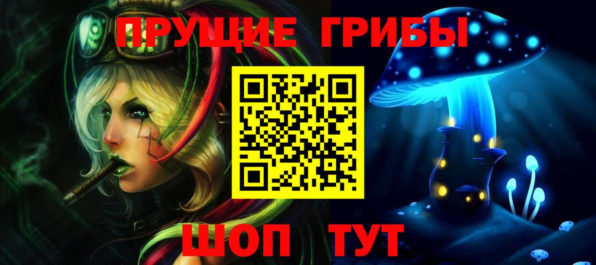 Галлюциногенные грибы Psilocybe Ростов-на-Дону