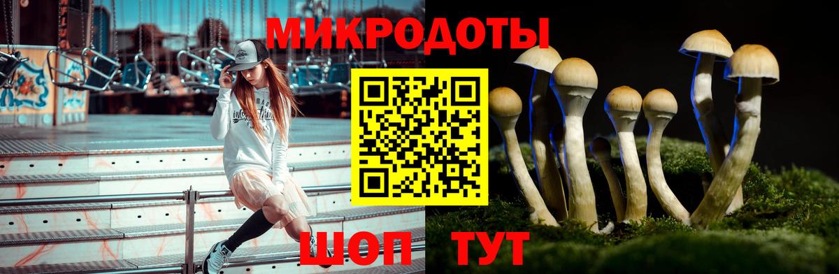 Псилоцибиновые грибы прущие грибы  Псилоцибиновые грибы MAGIC MUSHROOMS  Вход с VPN  Ростов-на-Дону 